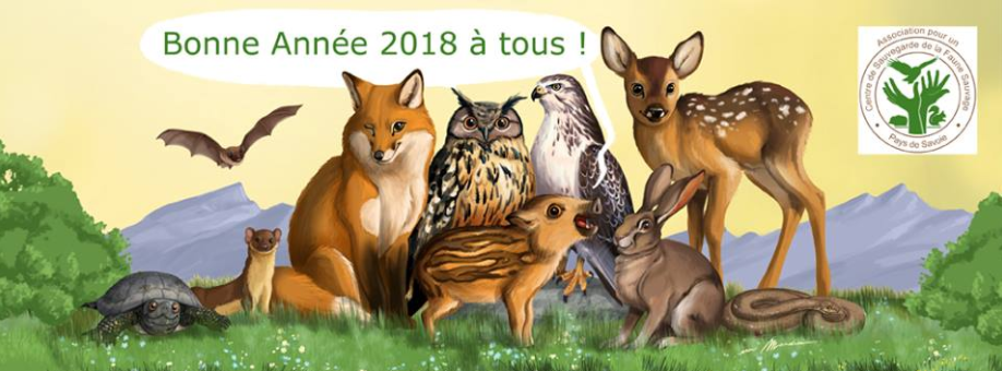 couv dessin