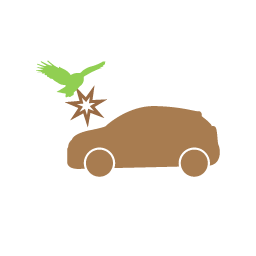choc vehicule
