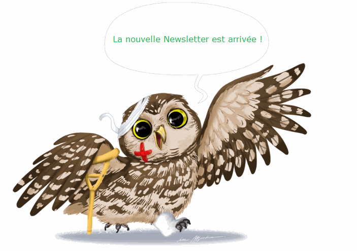 chouettenl10