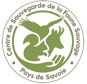 cropped logo csfs web transp.png