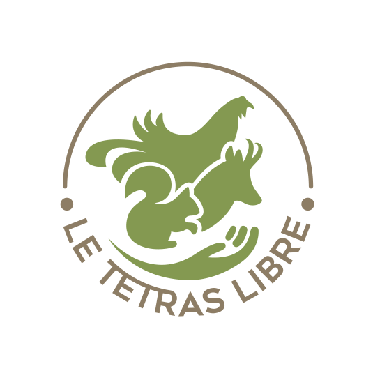 logo tl blanc simple transp