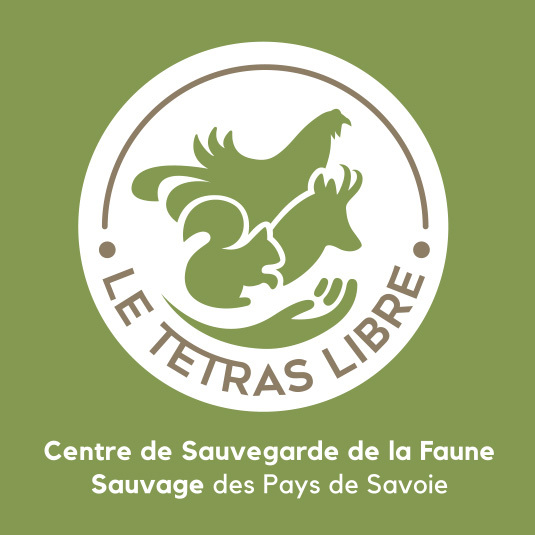 logo tl vert web
