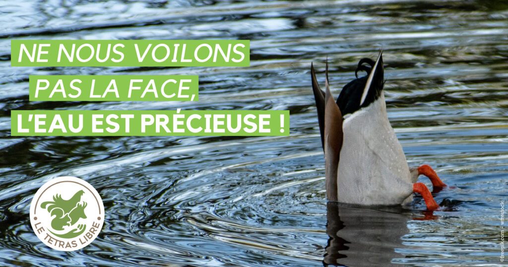 campagneenvironnement
