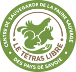 logo csfs