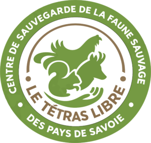 logo csfs